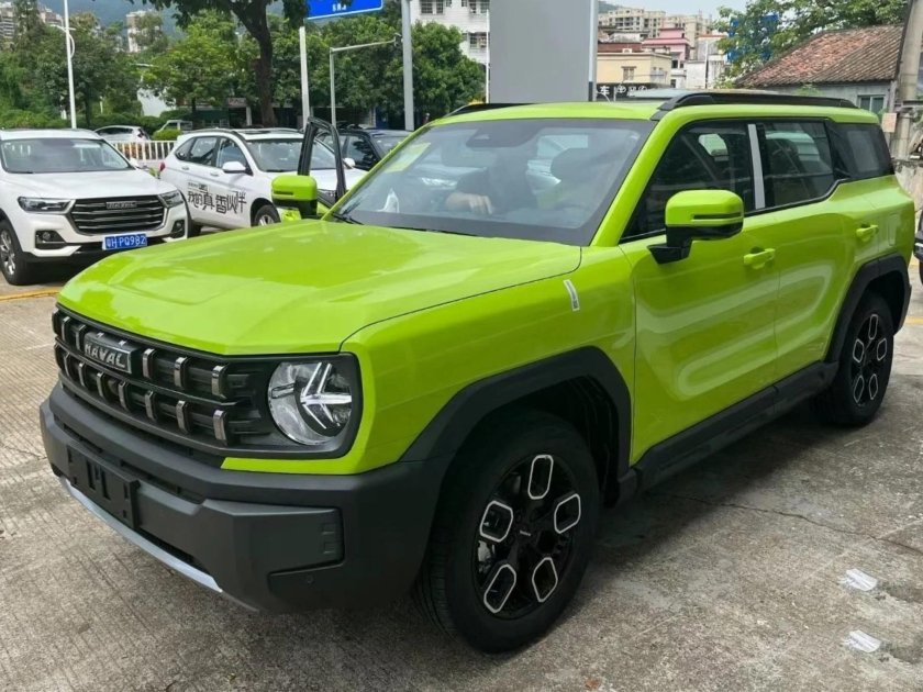 Хавал кул дог