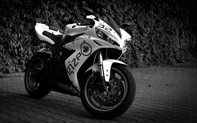 Yamaha r1 White