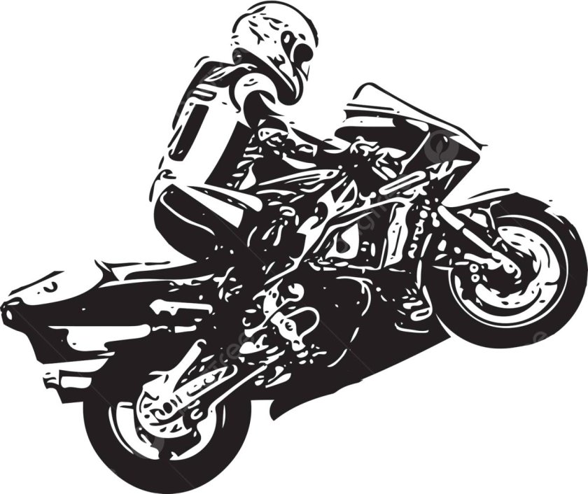 Рейсер вектор