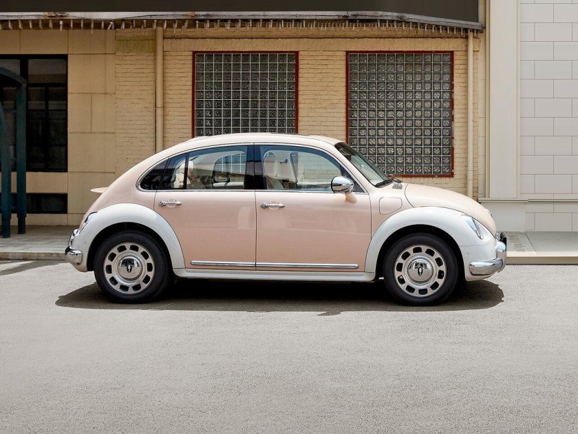 Ora Ballet Cat Top view