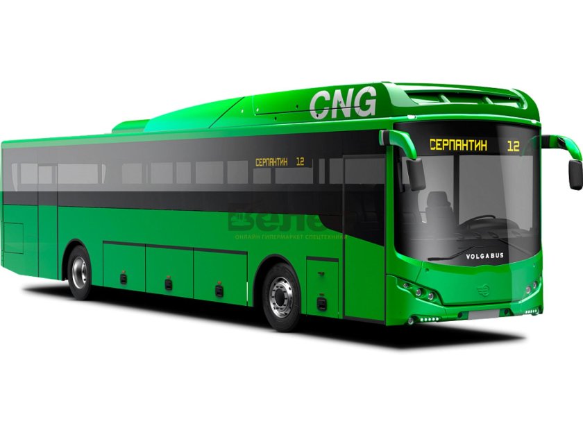 VOLGABUS серпантин g45