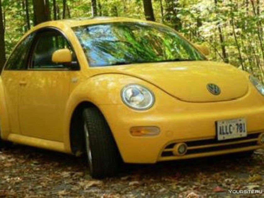 Volkswagen Жук New Beetle
