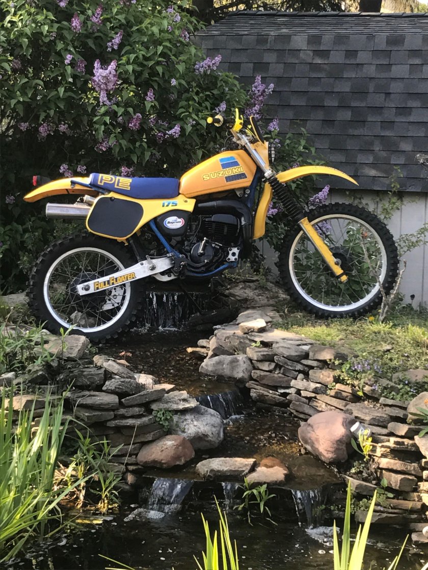 Suzuki rm250 1980