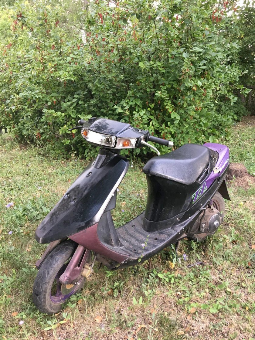 Сузуки сепия ZZ