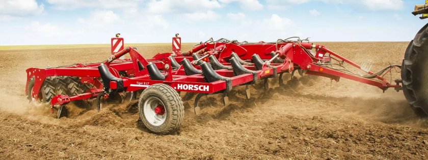 Хорш Тайгер