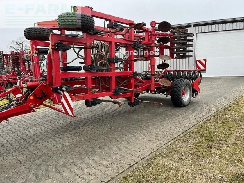 Хорш тайгер