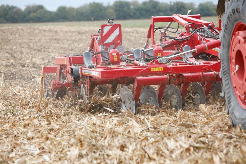 Хорш тигр 4 МТ