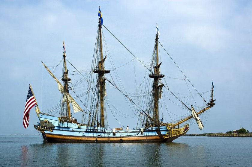 ПИНАС кальмар Нюкель