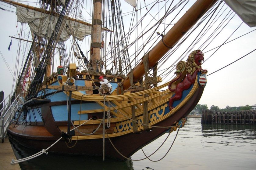 ПИНАС кальмар Нюкель