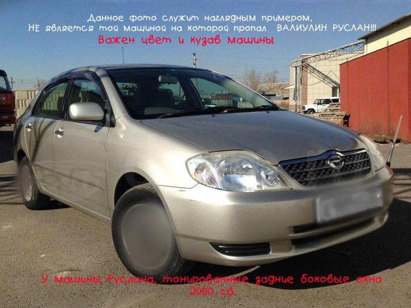 Краска брызги шампанского для машины