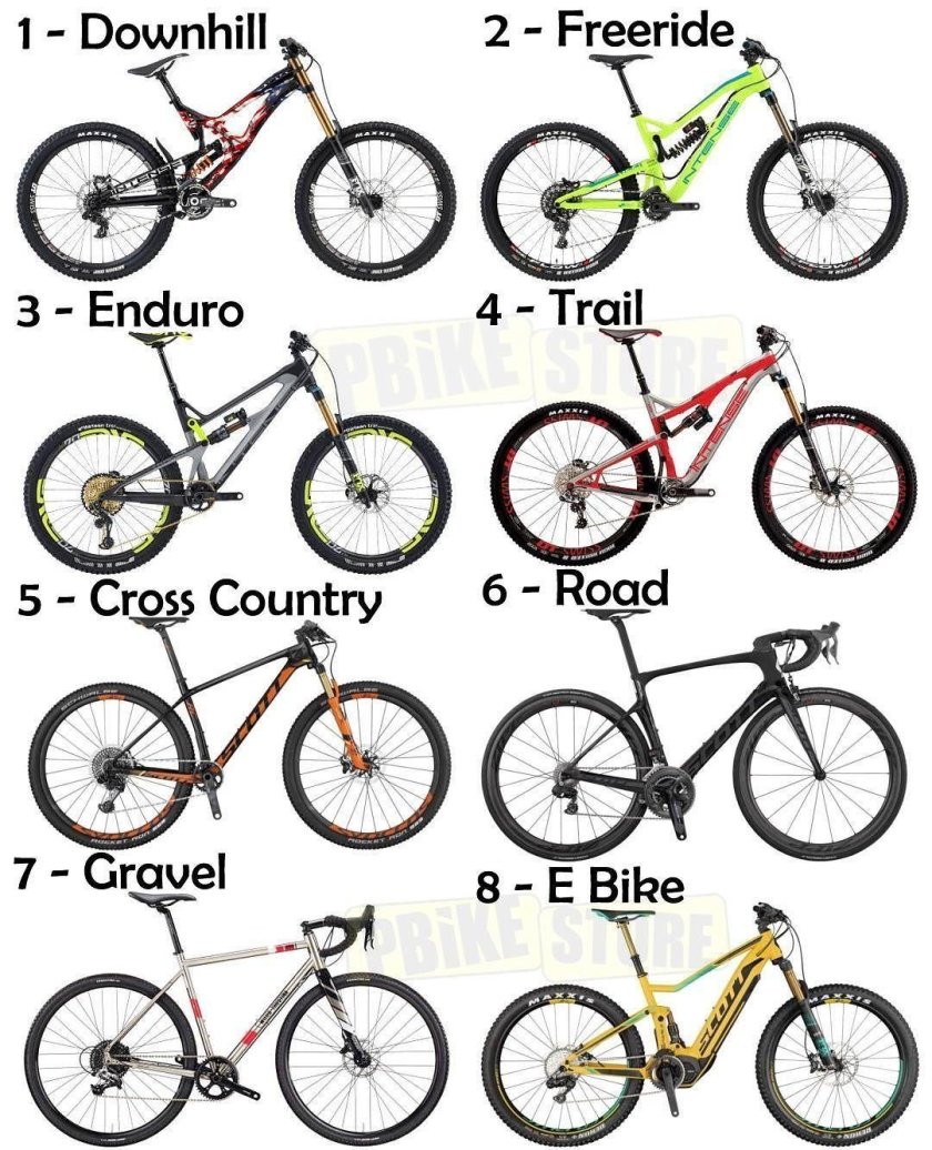 Какие виды МТБ бывают