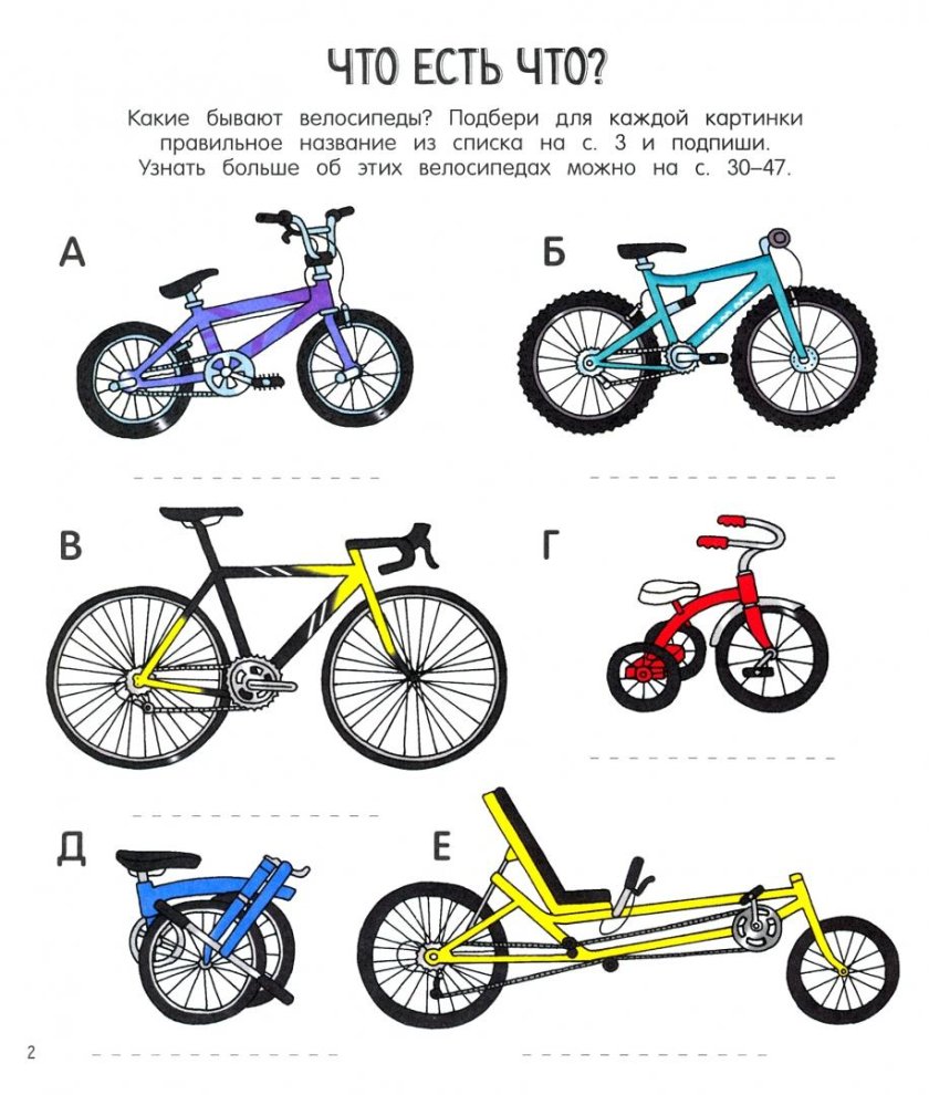 Велосипед виды