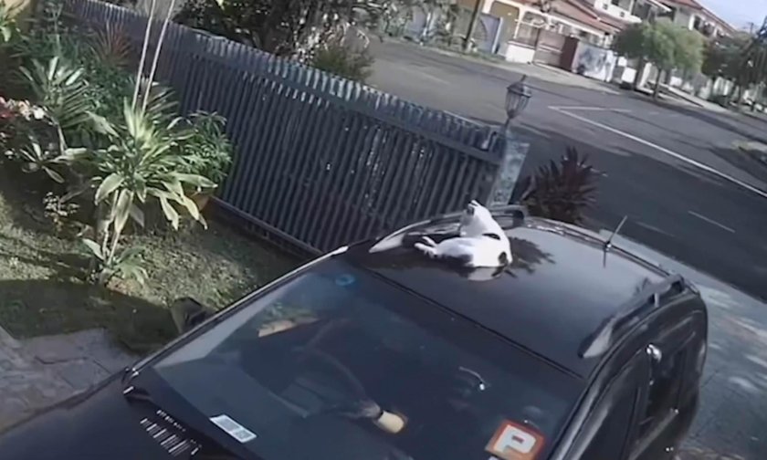 Крыша машины