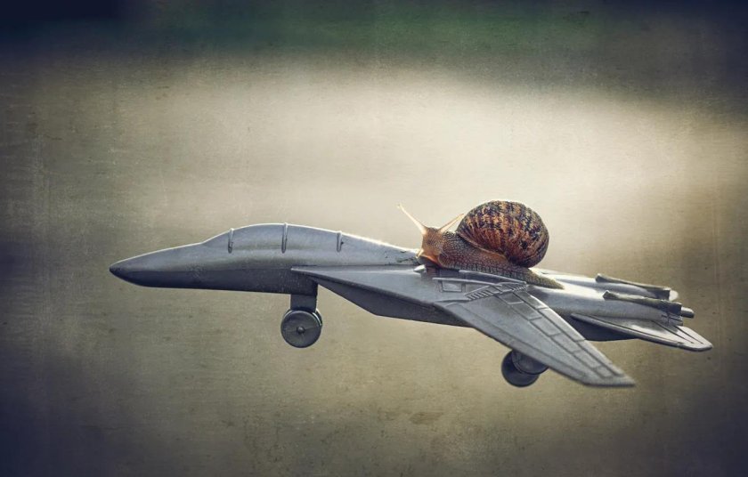 Улитка на самолете