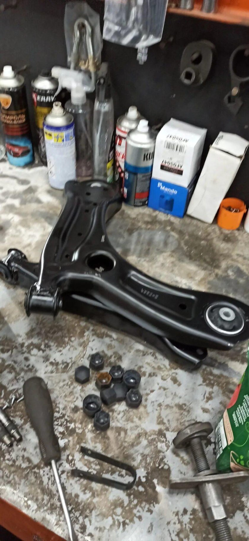 Передних рычагов Skoda Rapid