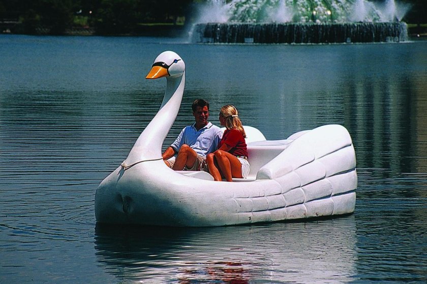 Лодочка лебедь