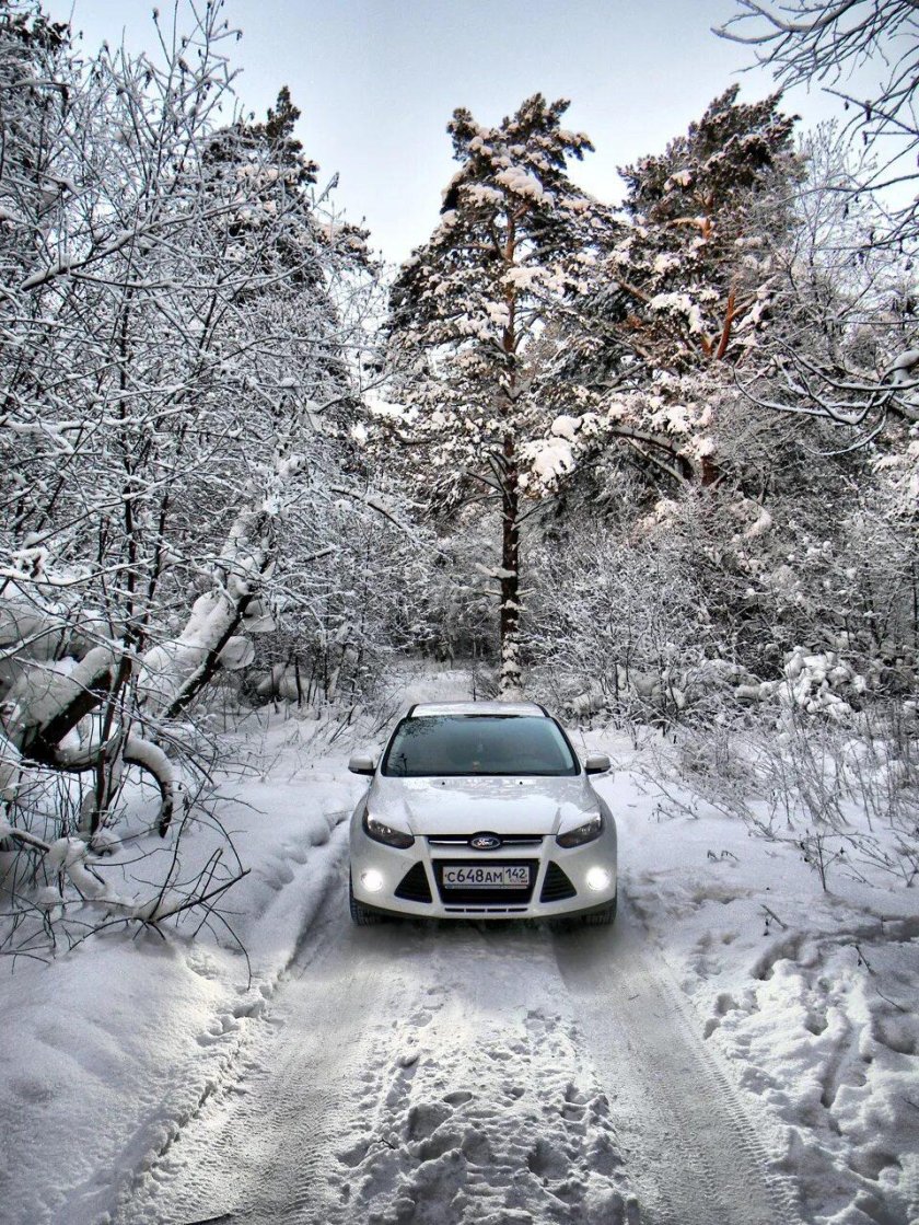 Зим автомобиль