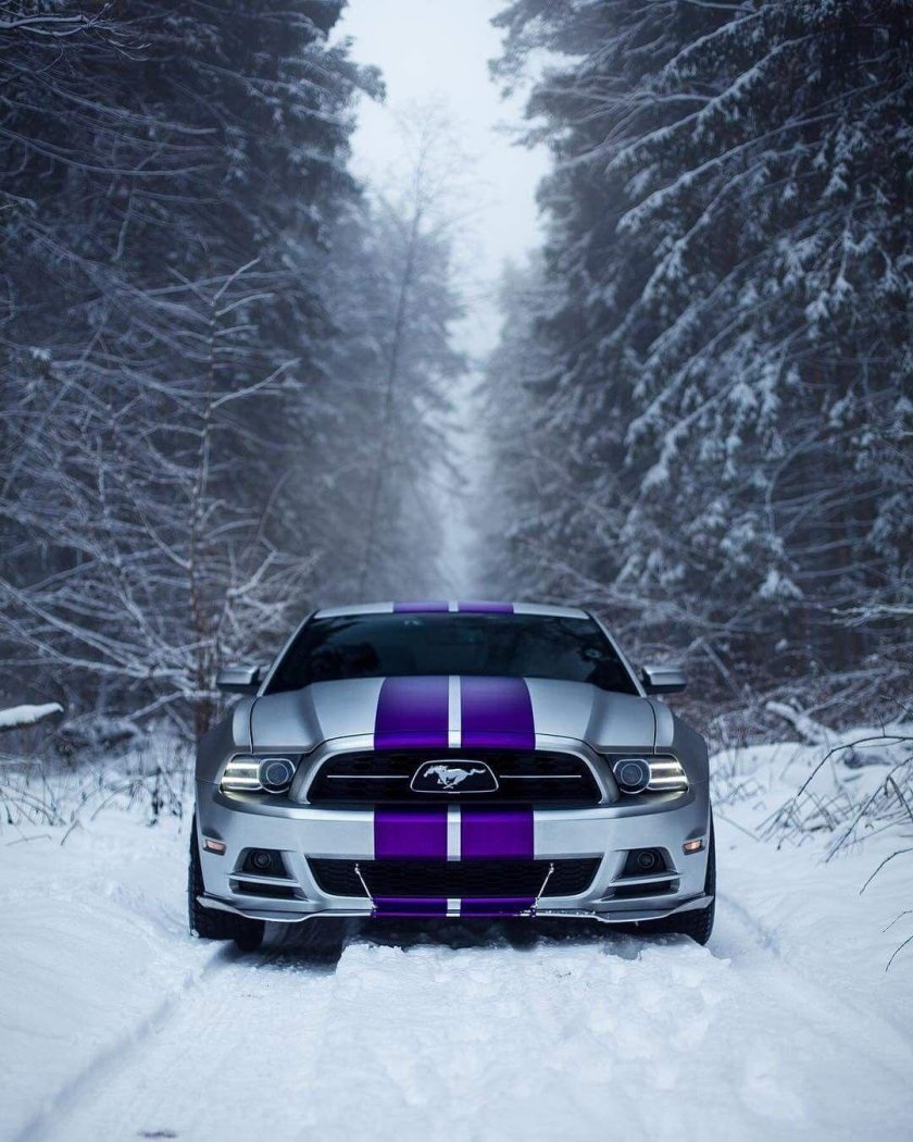 Форд Мустанг