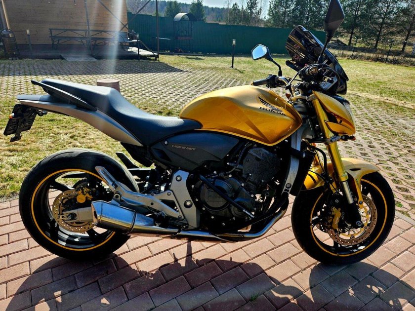 Honda cb 600 f hornet