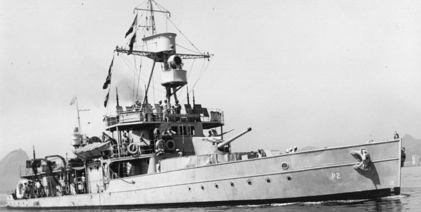 Бразильский Речной монитор Парнаиба