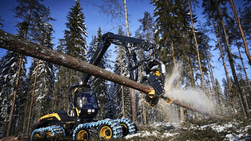 Понсе Скорпион харвестер