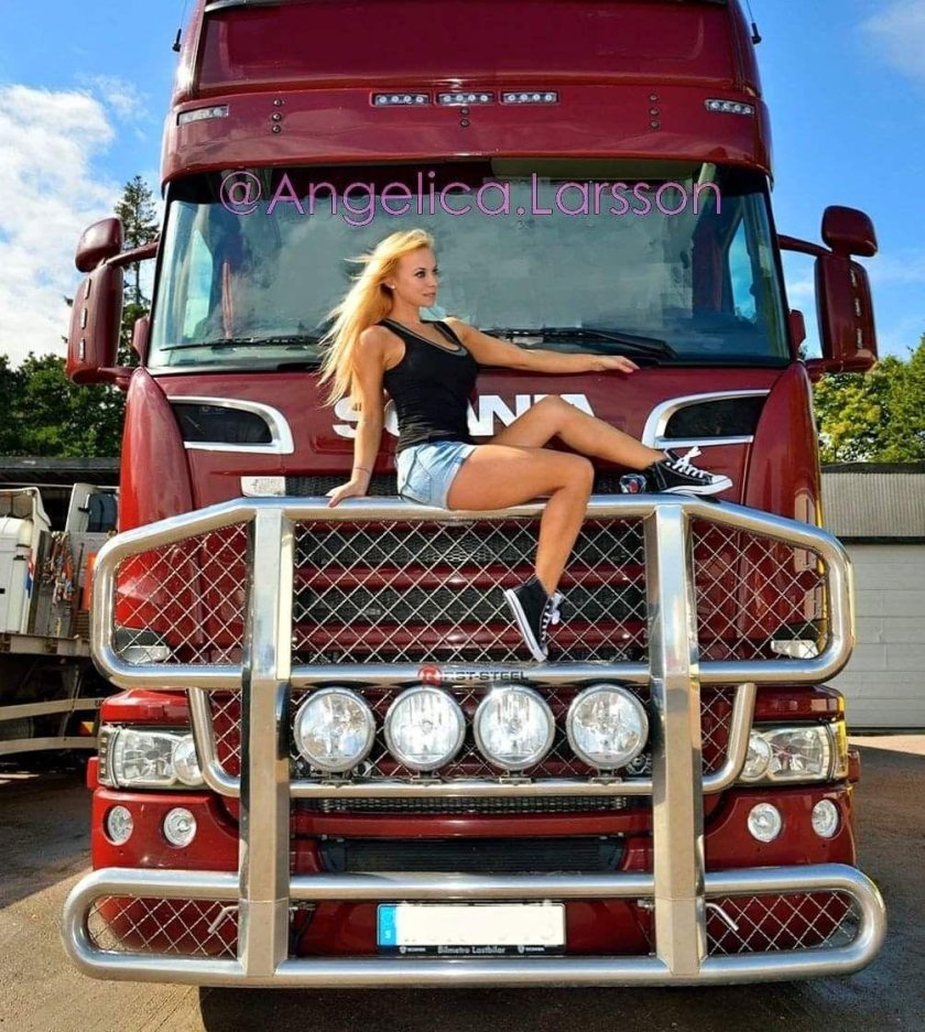 Шведская дальнобойщица Ларсон