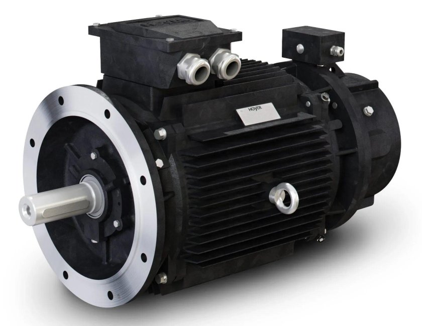 Электродвигатель Hoyer