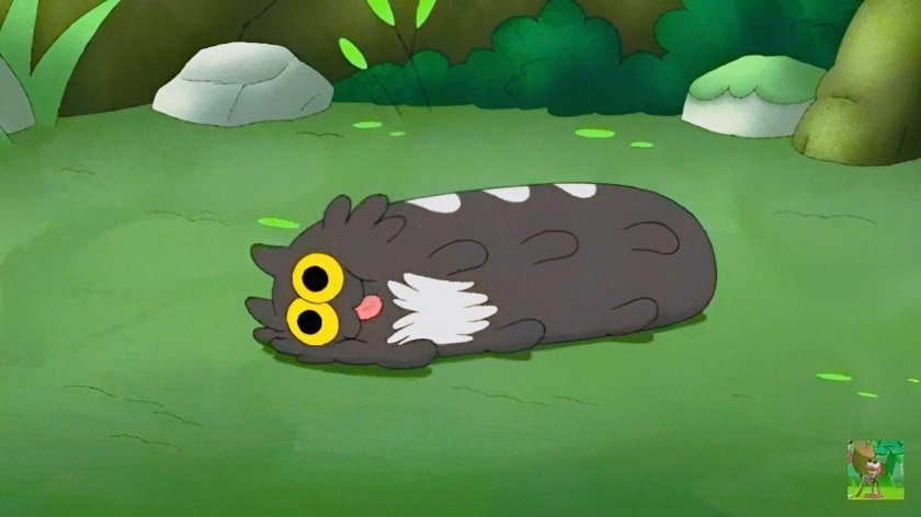 Домино 2 амфибия