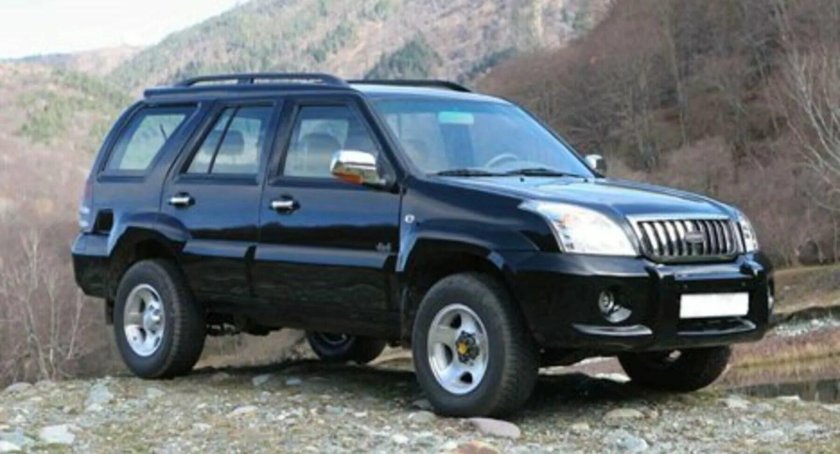 Дервейс 313120 2006