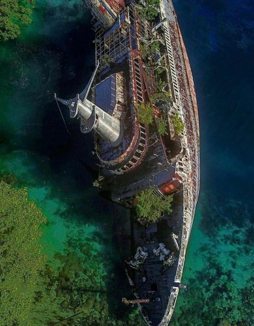 Круизный лайнер World Discoverer