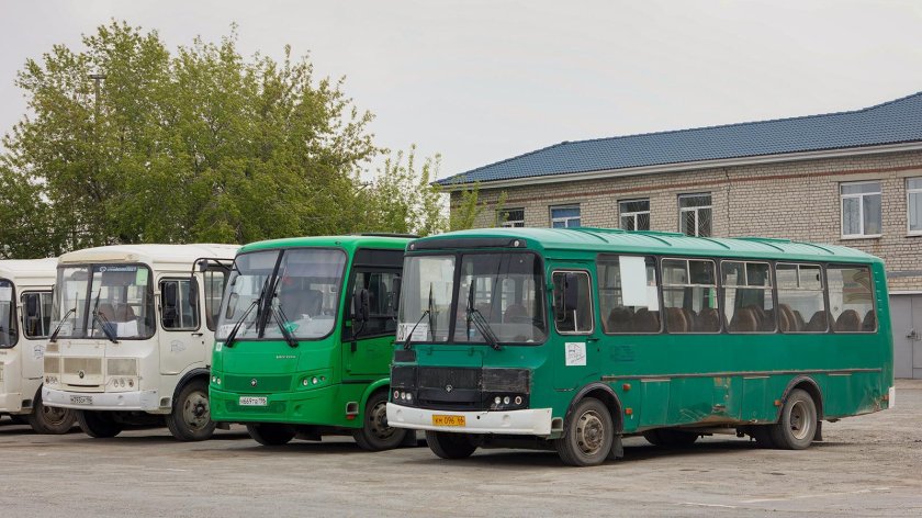 Автобусы России