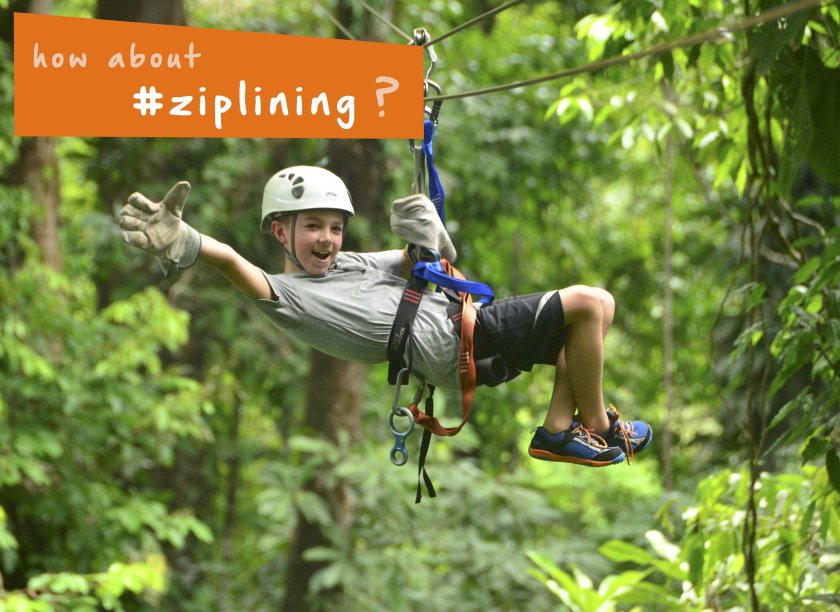 Зиплайн тарзанка