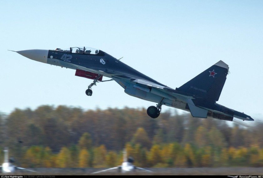 Су 30 см Саки