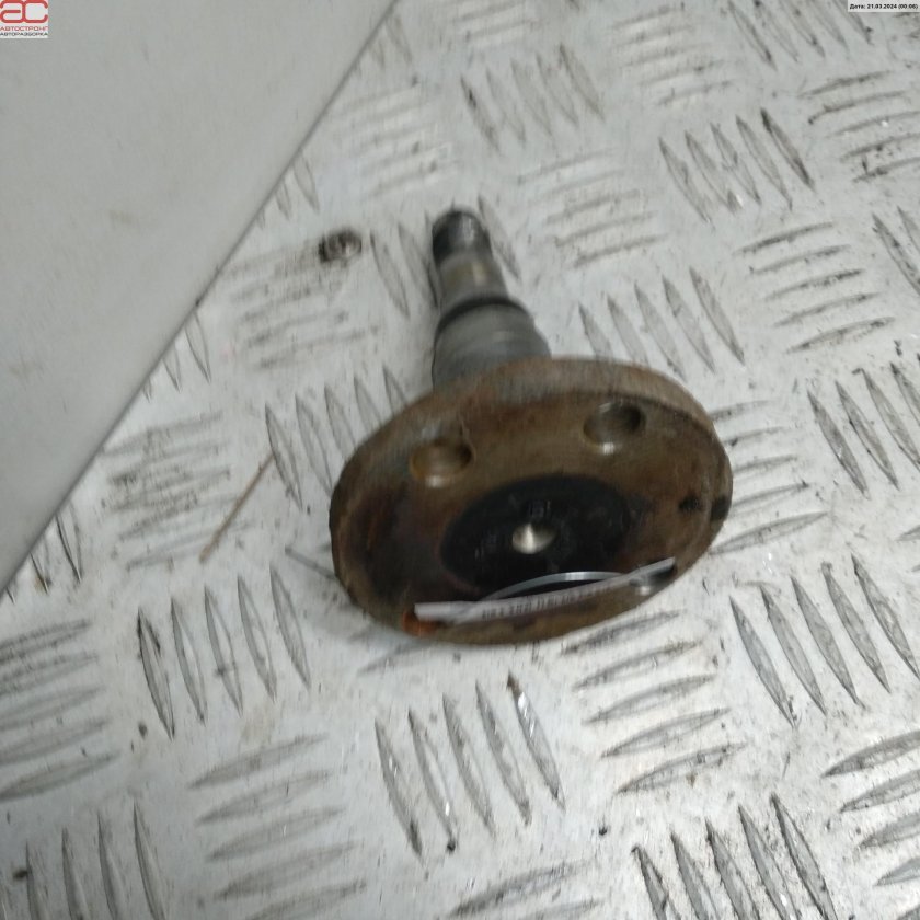 Цапфа задняя