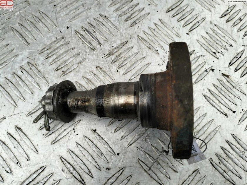 Цапфа задней оси