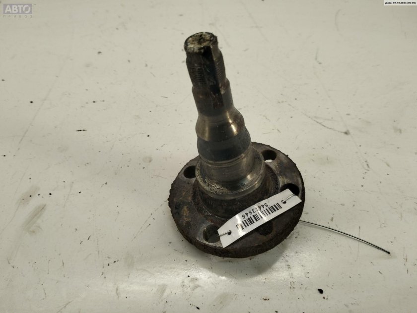 Цапфа ступицы