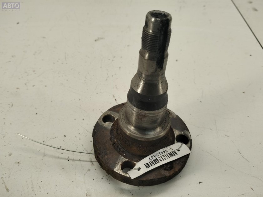 Цапфа задней оси