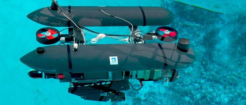 Подводный аппарат Sea Wasp