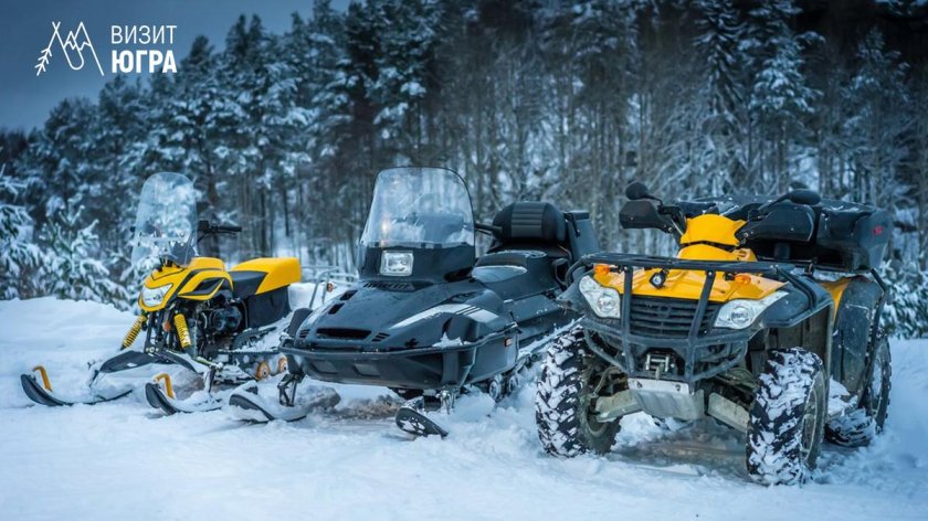 Снегоход а1