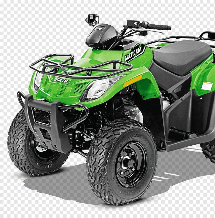 Arctic Cat Alterra 300
