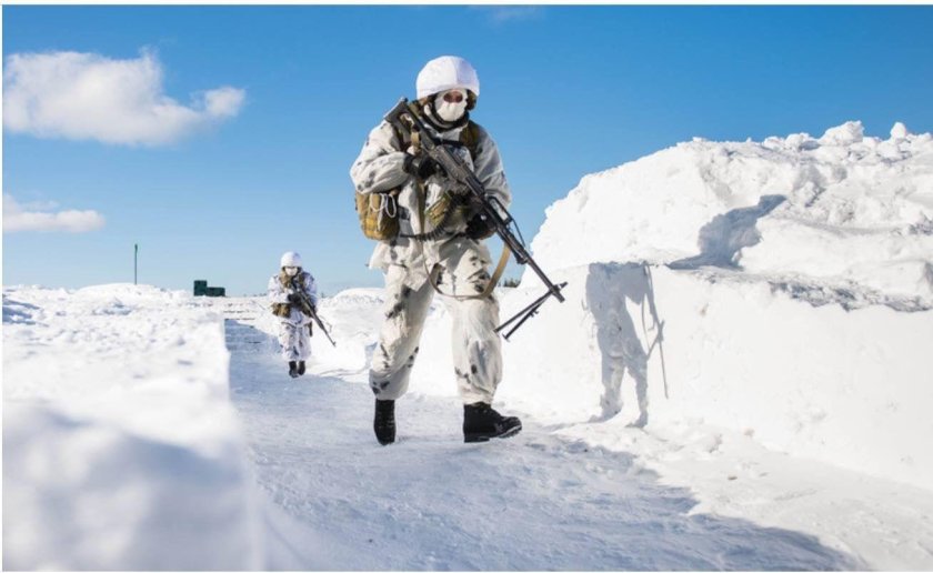 Ратник Арктика