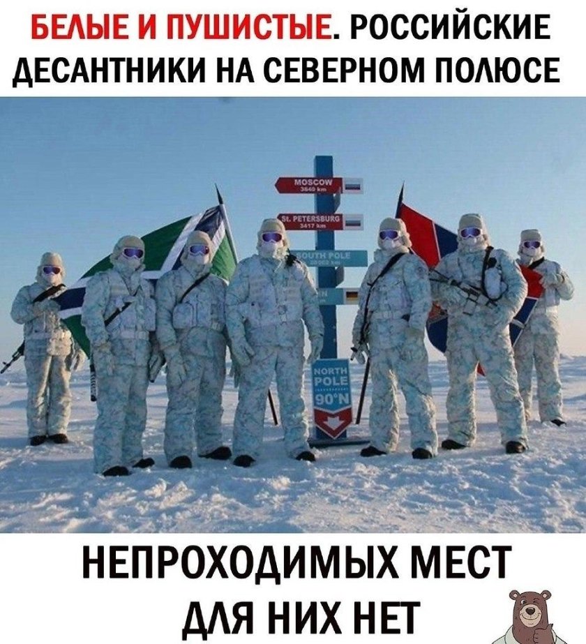Артическая войска