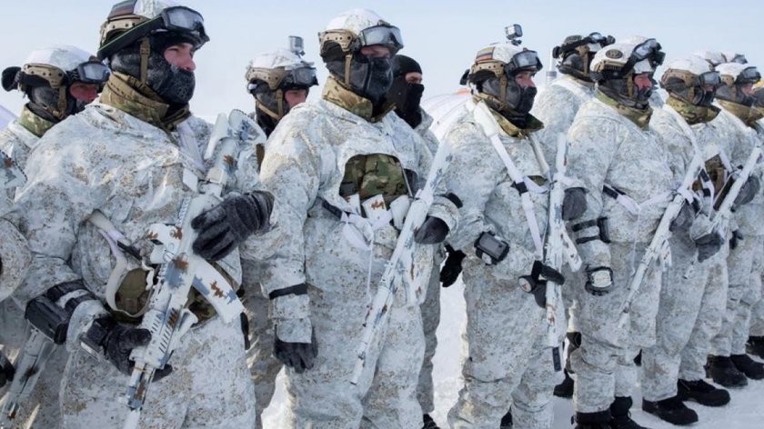 Арктические войска