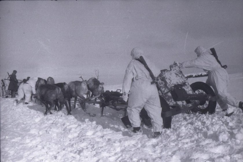 Оленеводы в годы войны 1941-1945