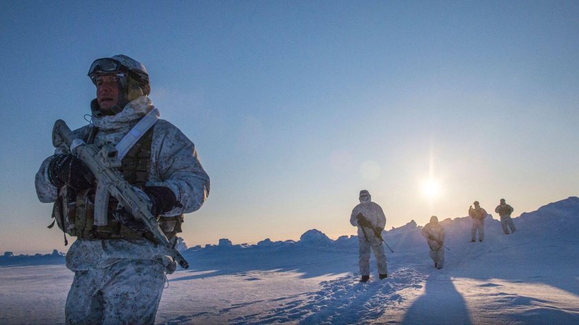 Арктические войска