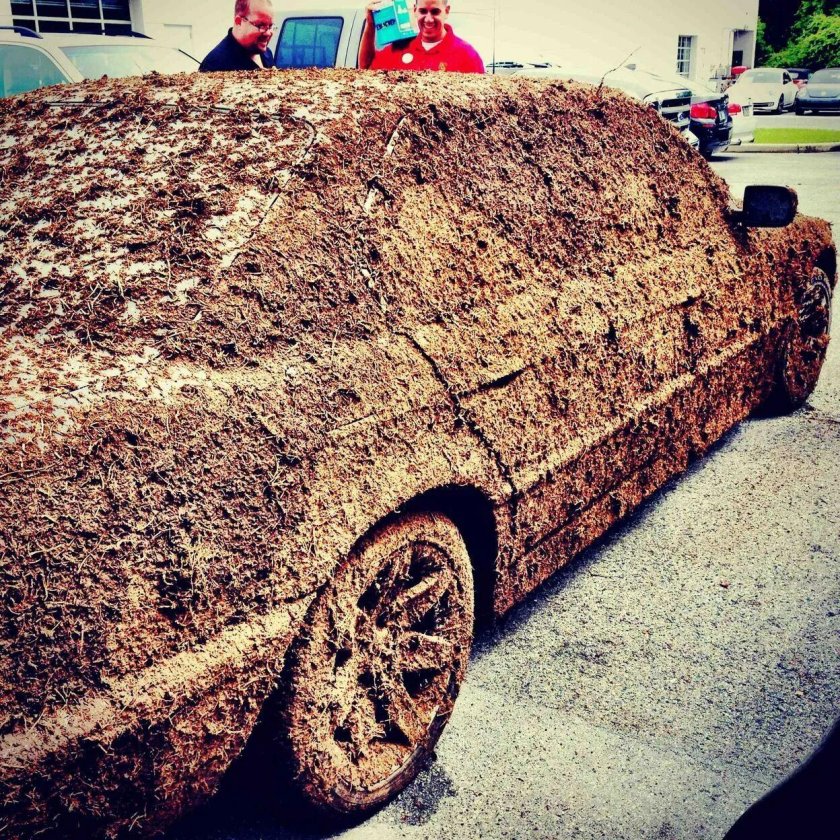 Прикольные машины