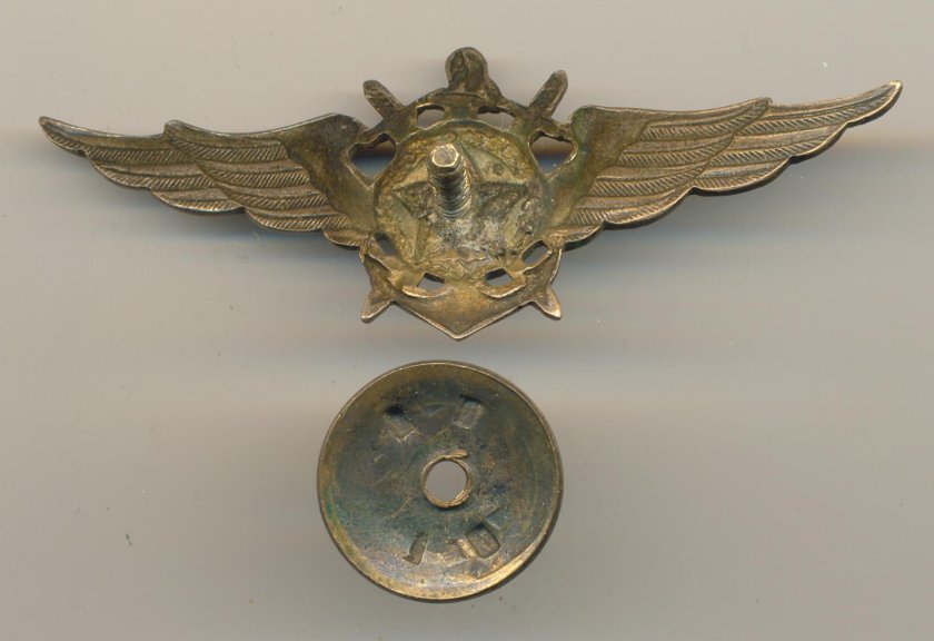Морской летчик знак