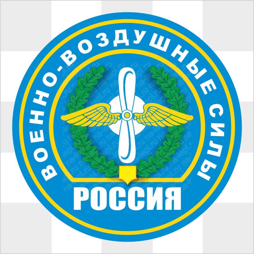 Эмблема военно-воздушных сил (ВВС) России