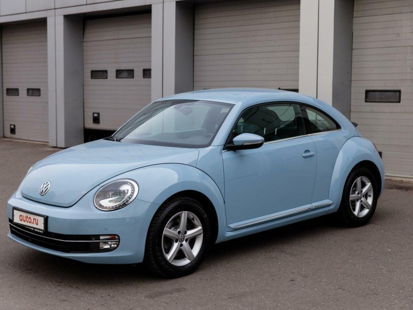 Little Beetle Club фото прикольные