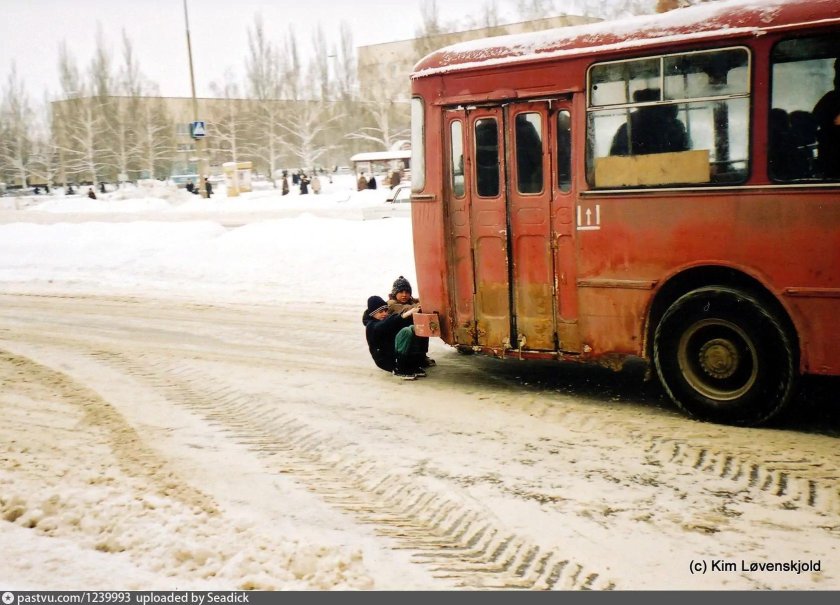 ЛИАЗ 677 скотовоз